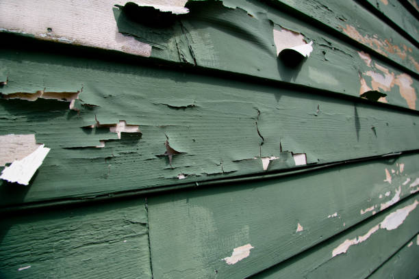 Best Commercial Junk Removal  in Baldwin, MI